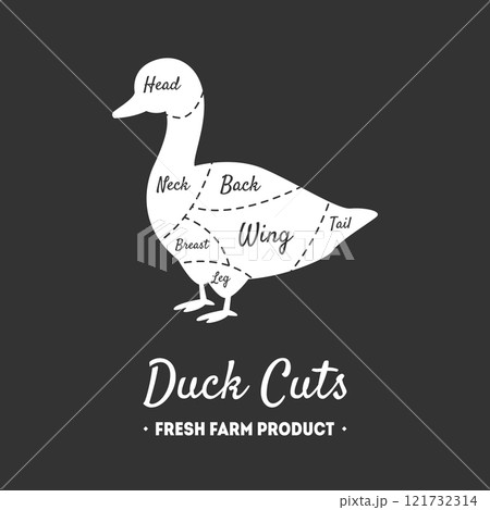 Duck Cuts, Fresh Farm Product, Poultry with Meat Cuts Lines, Butcher Shop Label, Vintage Black and White Vector Illustration 121732314