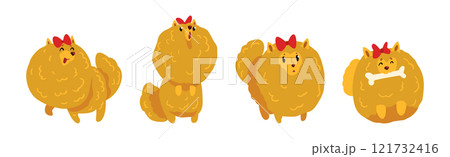 Pomeranian Spitz Doggy in Different Pose Vector Set 121732416