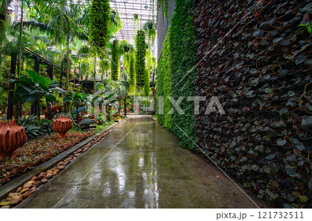 Plants and flowers of sky garden 121732511