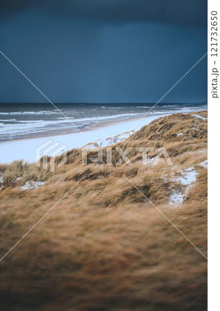 Snow Dunes at denmarks coastline Snow Dunes at denmarks coastline 121732650