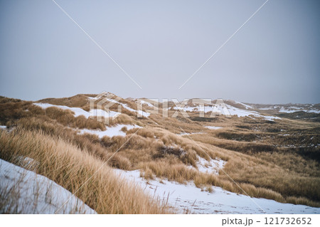 Snow Dunes at denmarks coastline Snow Dunes at denmarks coastline 121732652