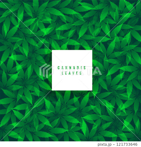 green marijuana leaves pattern background green marijuana leaves pattern background 121733646