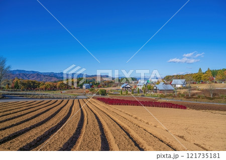 青空バックに見る晩秋の雪のない白山連峰と畑のコラボ情景 121735181