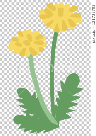 Simple dandelion vector illustration Simple dandelion vector illustration 121735703