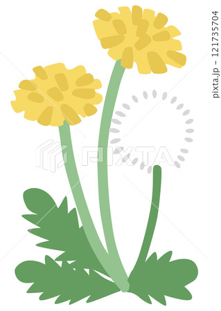 シンプルなタンポポのベクターイラスト 121735704