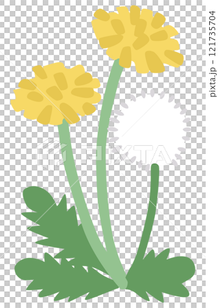 シンプルなタンポポのベクターイラスト 121735704