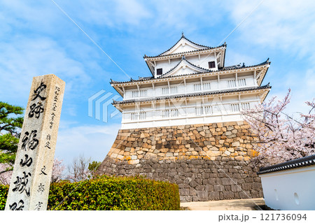 広島 桜満開の福山城　伏見櫓 121736094