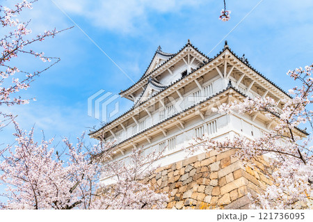 広島 桜満開の福山城 伏見櫓 広島 桜満開の福山城 伏見櫓 121736095