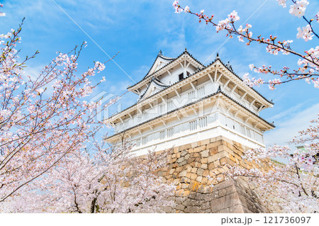 広島 桜満開の福山城　伏見櫓 121736097