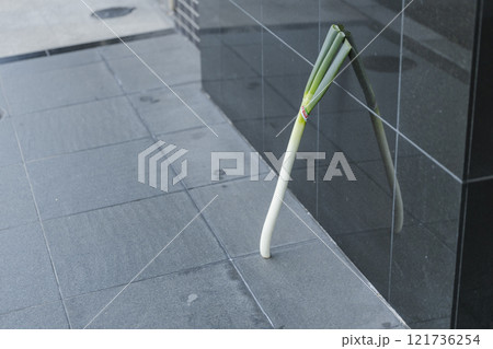 忘れ物 立てかけられた ネギ 忘れ物 立てかけられた ネギ 121736254