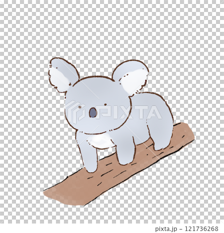 木の上を歩くコアラのイラスト 121736268