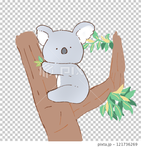 木の上のコアラのイラスト 121736269