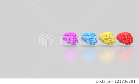 The Brain multi color on white background for education or sci concept 3d rendering. The Brain multi color on white background for education or sci concept 3d rendering. 121736281