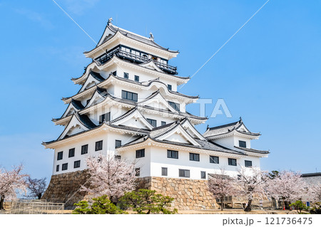 広島 桜満開の福山城　天守 121736475