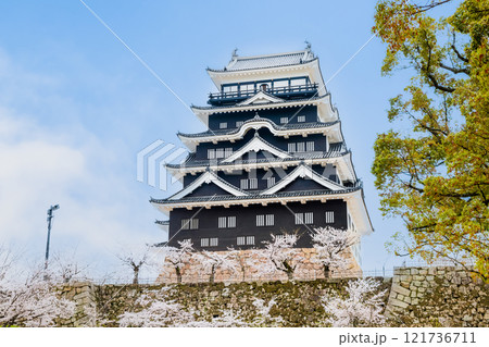 広島 桜満開の福山城 天守(北面鉄板張り) 広島 桜満開の福山城 天守(北面鉄板張り) 121736711