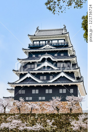 広島 桜満開の福山城 天守(北面鉄板張り) 広島 桜満開の福山城 天守(北面鉄板張り) 121736714