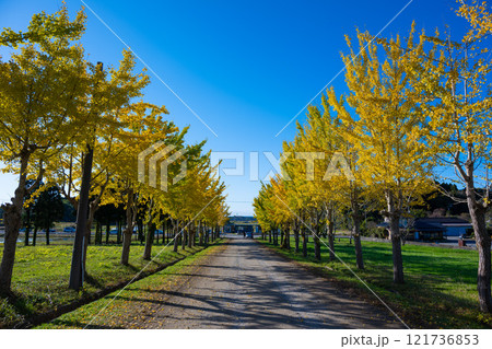 黄金ロード 黄金ロード 121736853