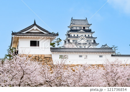 広島 桜満開の福山城 天守と筋鉄御門(福山駅から) 広島 桜満開の福山城 天守と筋鉄御門(福山駅から) 121736854