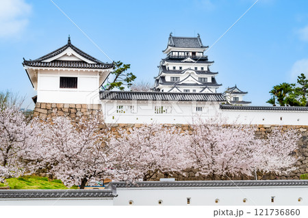 広島 桜満開の福山城 筋鉄御門と天守(福山駅から) 広島 桜満開の福山城 筋鉄御門と天守(福山駅から) 121736860
