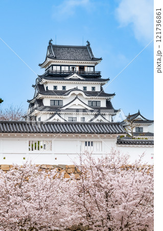 広島 桜満開の福山城　天守（福山駅から） 121736861