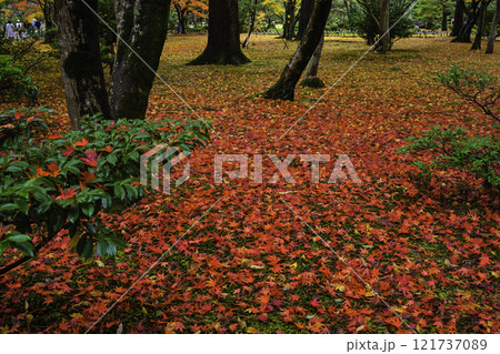 紅葉が美しい兼六園 紅葉が美しい兼六園 121737089