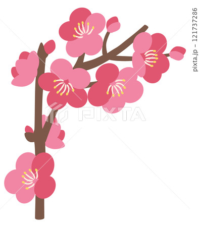 梅のベクターイラスト 121737286