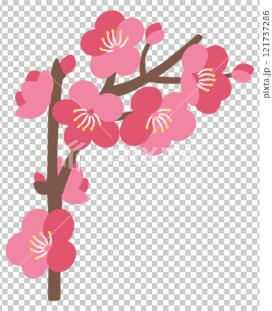梅のベクターイラスト 121737286