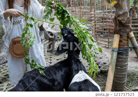 農耕 農業 動物 121737525