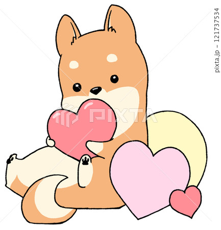 座ってハートを持つ柴犬 121737534