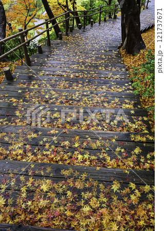 金沢城玉泉院丸庭園の紅葉 121737671