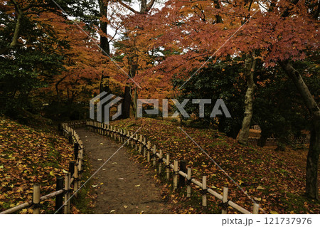 紅葉が美しい兼六園 紅葉が美しい兼六園 121737976