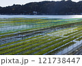 伊勢志摩のあおさ海苔養殖　海苔粗朶　海苔網　01 121738447