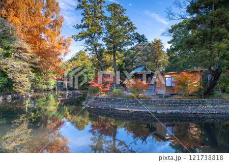 武蔵国一宮氷川神社神池の紅葉 121738818