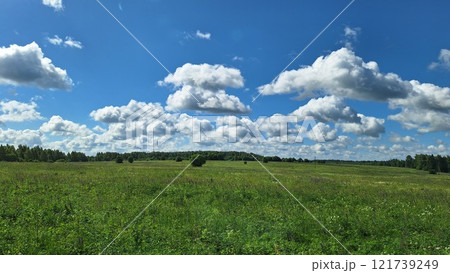 Expansive green meadow under a blue sky with fluffy clouds 121739249