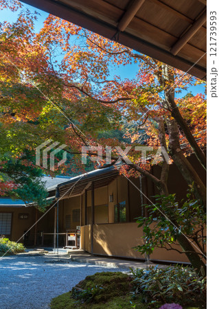 紅葉の鎌倉 一条恵観山荘 紅葉の鎌倉 一条恵観山荘 121739593