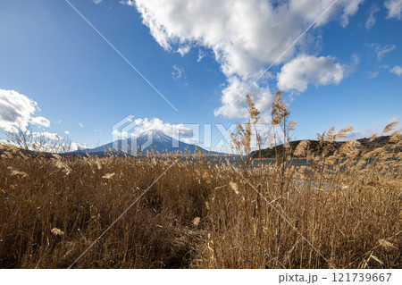 山中湖から見る富士山 山中湖から見る富士山 121739667