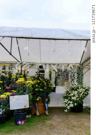 菊花展示会　秋の風物詩「菊人形・菊まつり」菊池市ふるさと創生市民広場 121739671
