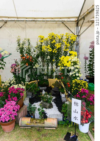 菊花　秋の風物詩「菊人形・菊まつり」菊池市ふるさと創生市民広場 121739825