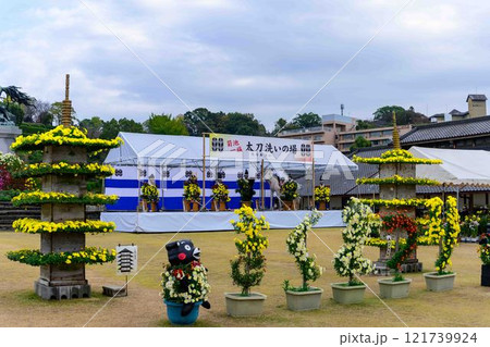 菊花 秋の風物詩「菊人形・菊まつり」菊池市ふるさと創生市民広場 菊花 秋の風物詩「菊人形・菊まつり」菊池市ふるさと創生市民広場 121739924