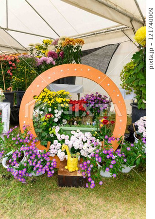 菊花　秋の風物詩「菊人形・菊まつり」菊池市ふるさと創生市民広場 121740009