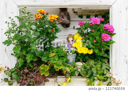 菊花 秋の風物詩「菊人形・菊まつり」菊池市ふるさと創生市民広場 菊花 秋の風物詩「菊人形・菊まつり」菊池市ふるさと創生市民広場 121740039