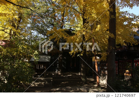 近所の神社を歩いた 121740697