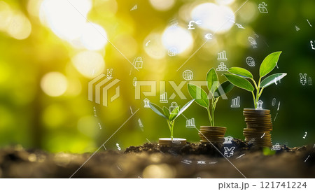 自然と金融が絡み合い、太陽光の下で硬貨の上に植物を育てる 121741224