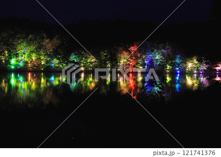 観音沼森林公園 紅葉ライトアップ 観音沼森林公園 紅葉ライトアップ 121741376