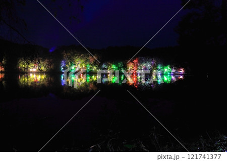 観音沼森林公園 紅葉ライトアップ 観音沼森林公園 紅葉ライトアップ 121741377