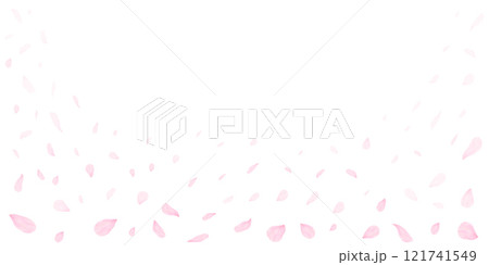 春の風に舞い散るかわいいピンク色の桜の花びら　白背景素材 121741549