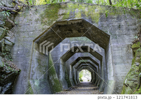 廃線跡や廃墟好きの方におすすめの熊延鉄道遺構 八角トンネル(熊本県美里町) 廃線跡や廃墟好きの方におすすめの熊延鉄道遺構 八角トンネル(熊本県美里町) 121741813