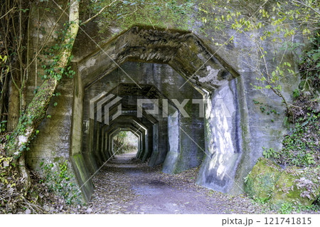 廃線跡や廃墟好きの方におすすめの熊延鉄道遺構　八角トンネル（熊本県美里町） 121741815