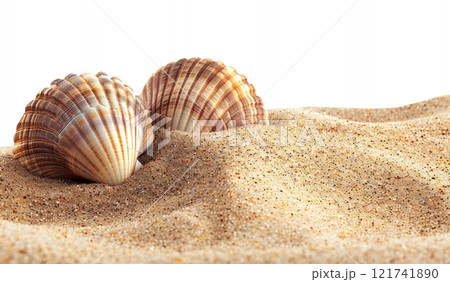 Seashell on the Beach 121741890