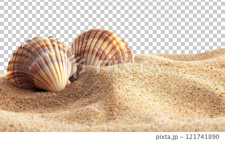 Seashell on the Beach 121741890